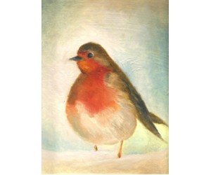 Wintry - The little robin